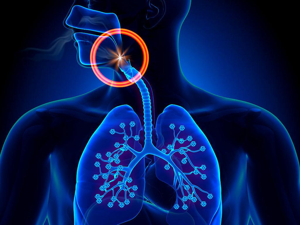 支氣管鏡檢查的那些事兒