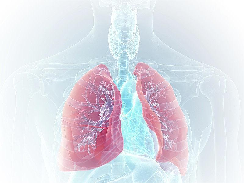 從傳統(tǒng)到現(xiàn)代：可視喉鏡在呼吸道疾病診斷中的重要作用